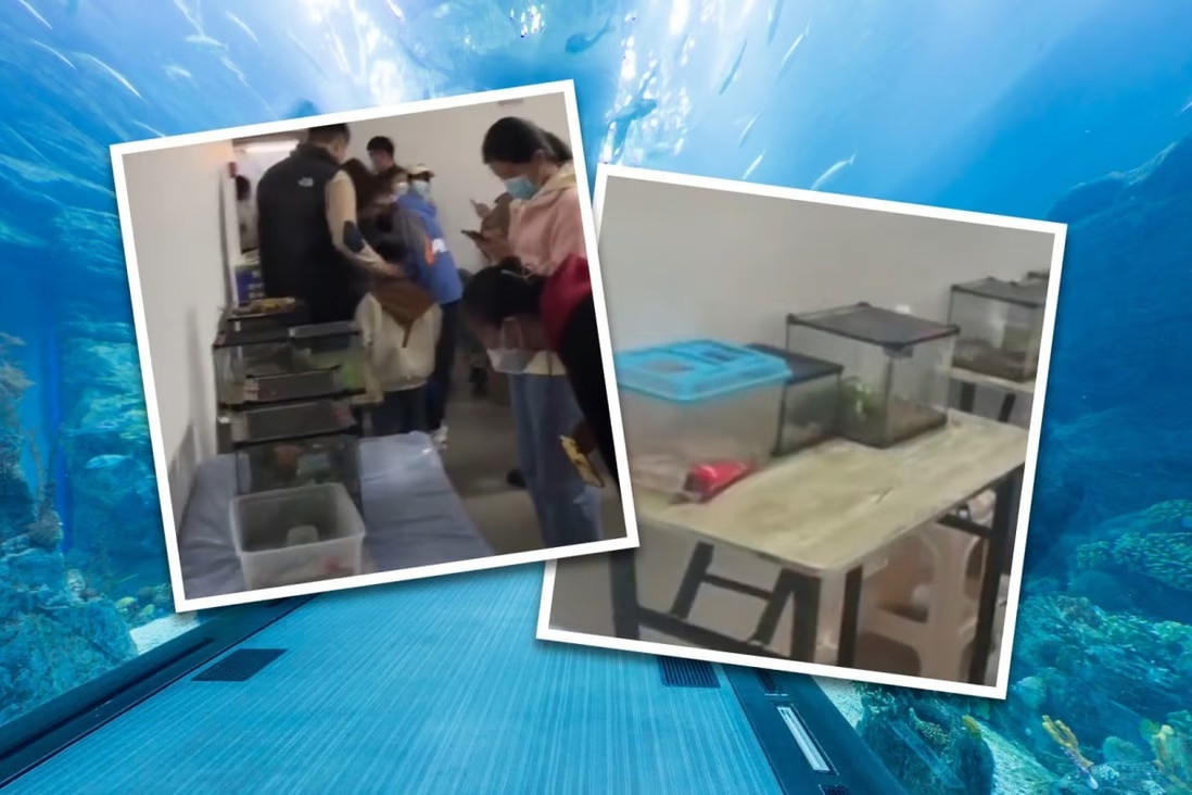 lua dao cha me anh 1