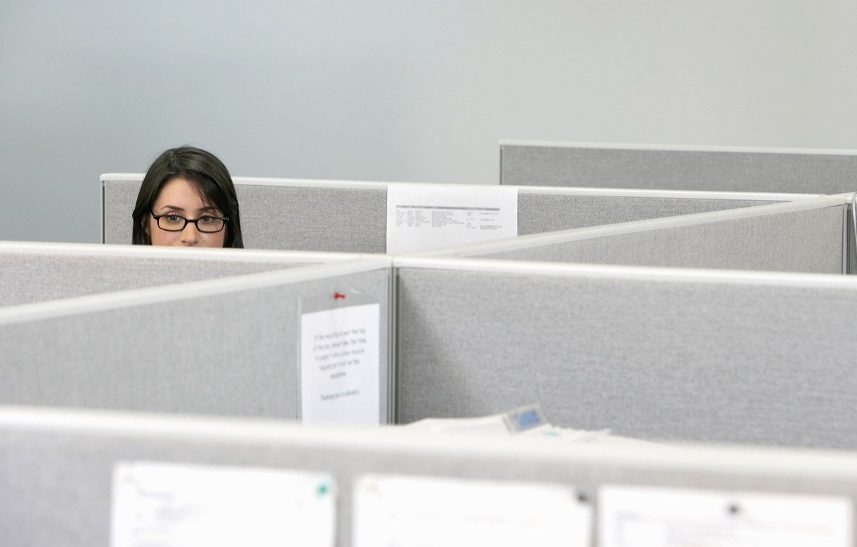 Van phong vang nguoi, sep co don hinh anh