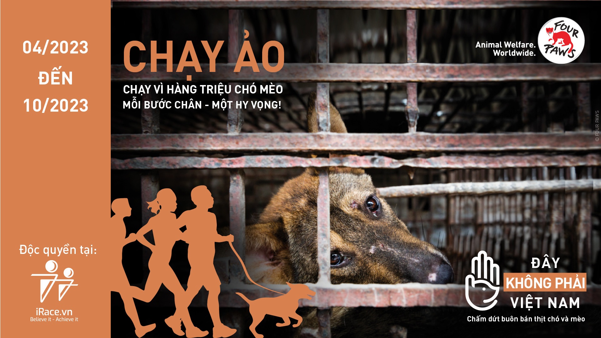 chay vi cho meo anh 1