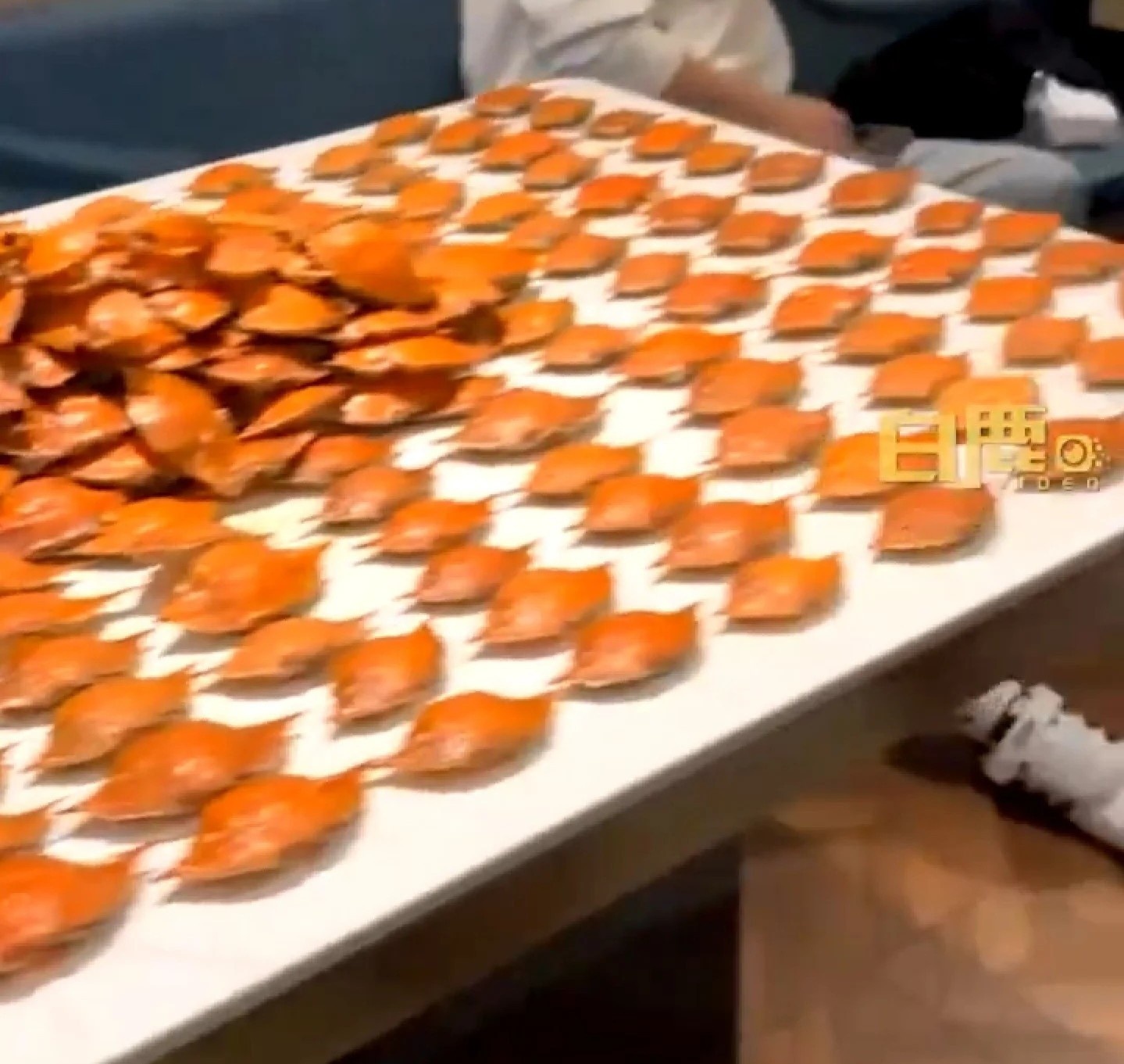 ăn buffet thừa mứa ảnh 1 an buffet thua mua anh 1