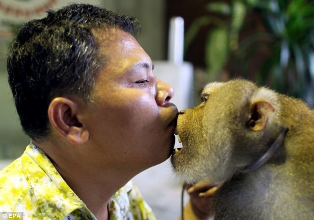 xiec khi thai lan anh 3