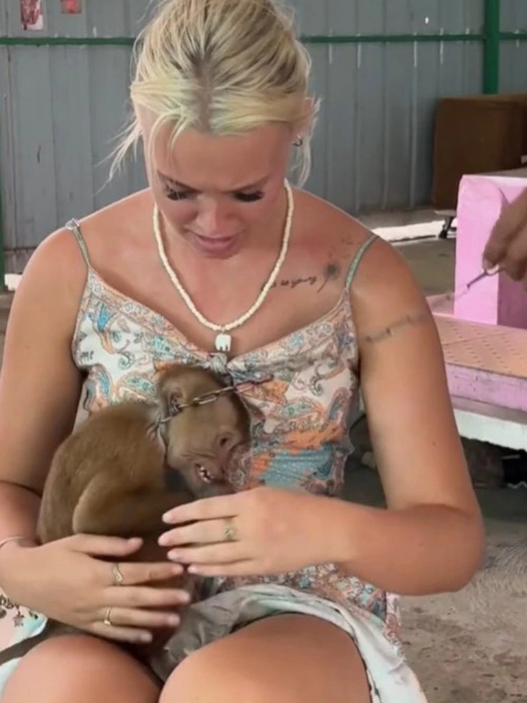 xiec khi thai lan anh 2