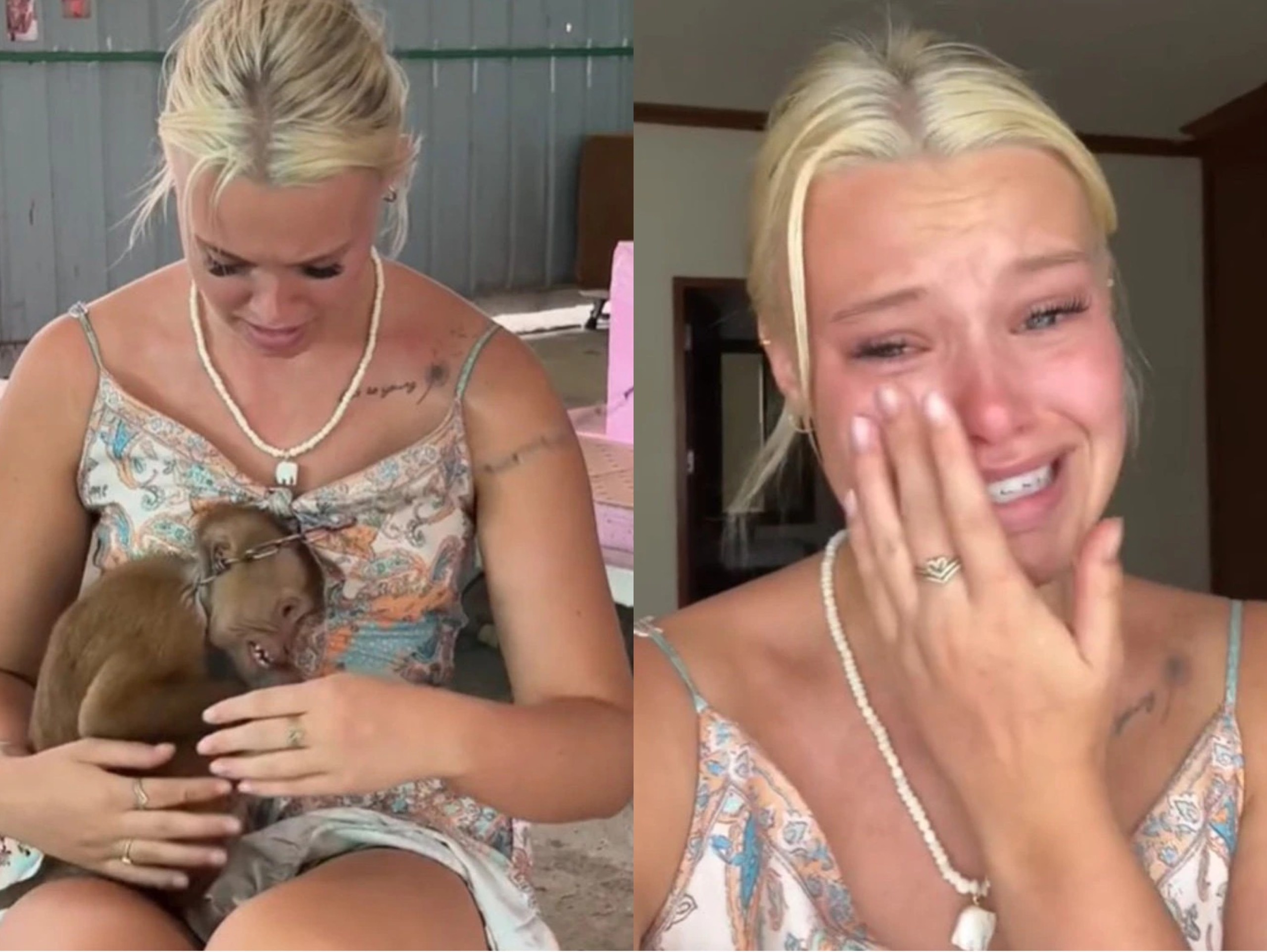 Trai nghiem o Phuket khien nu du khach bat khoc hinh anh