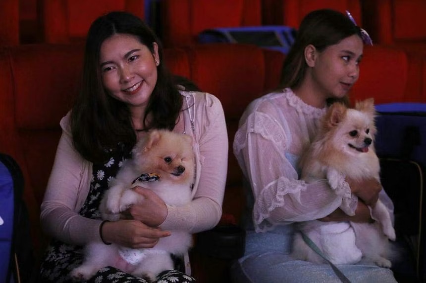 rap phim cho cho meo anh 1