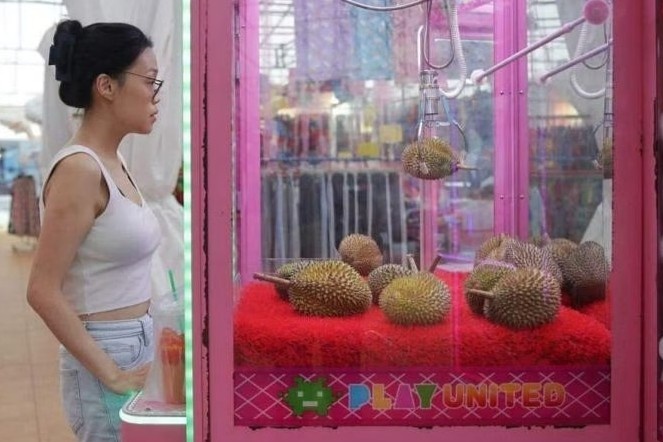 May gap sau rieng thay may gap thu bong o Singapore hinh anh