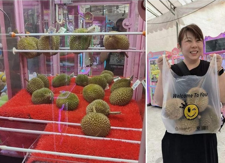 may gap sau rieng anh 1