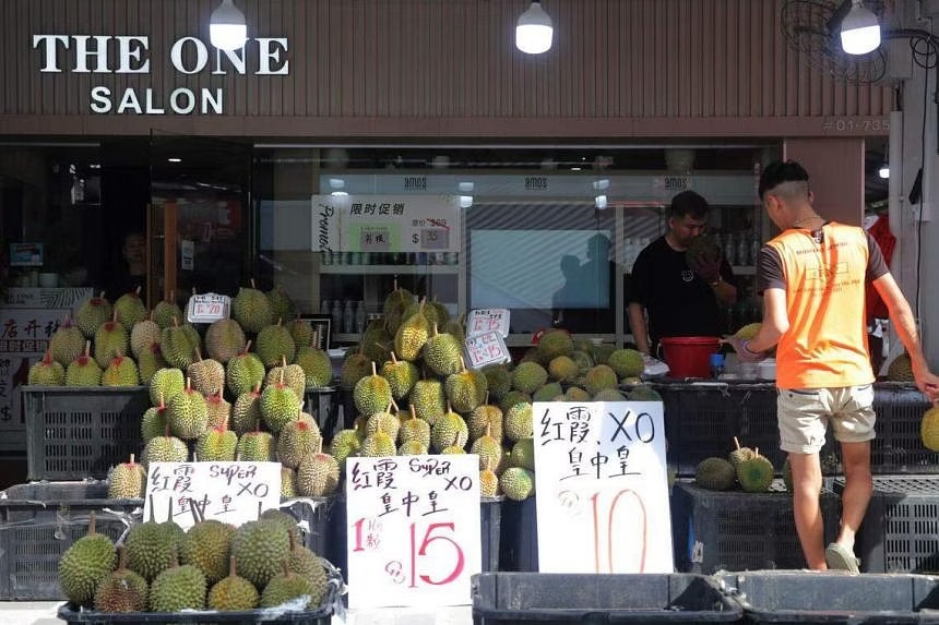 may gap sau rieng anh 3