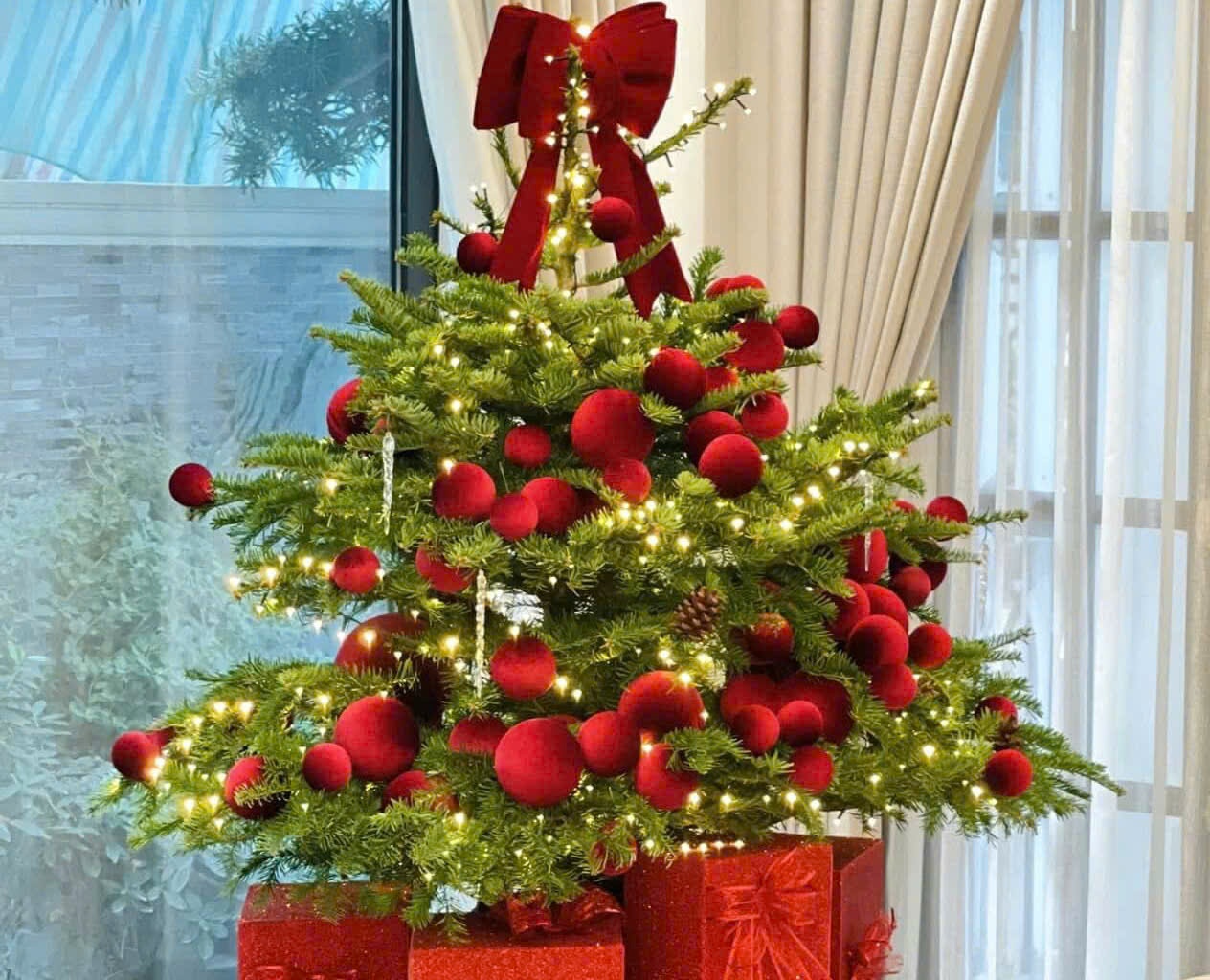 thong tuoi chay hang,  gia thong tuoi anh 1