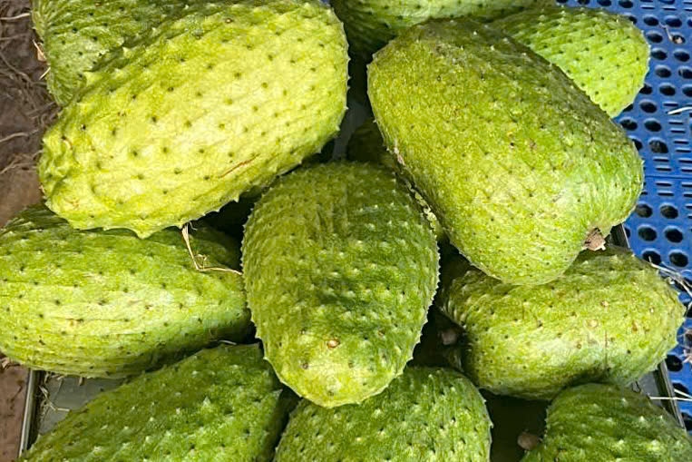 Mang cau xiem rot gia hinh anh