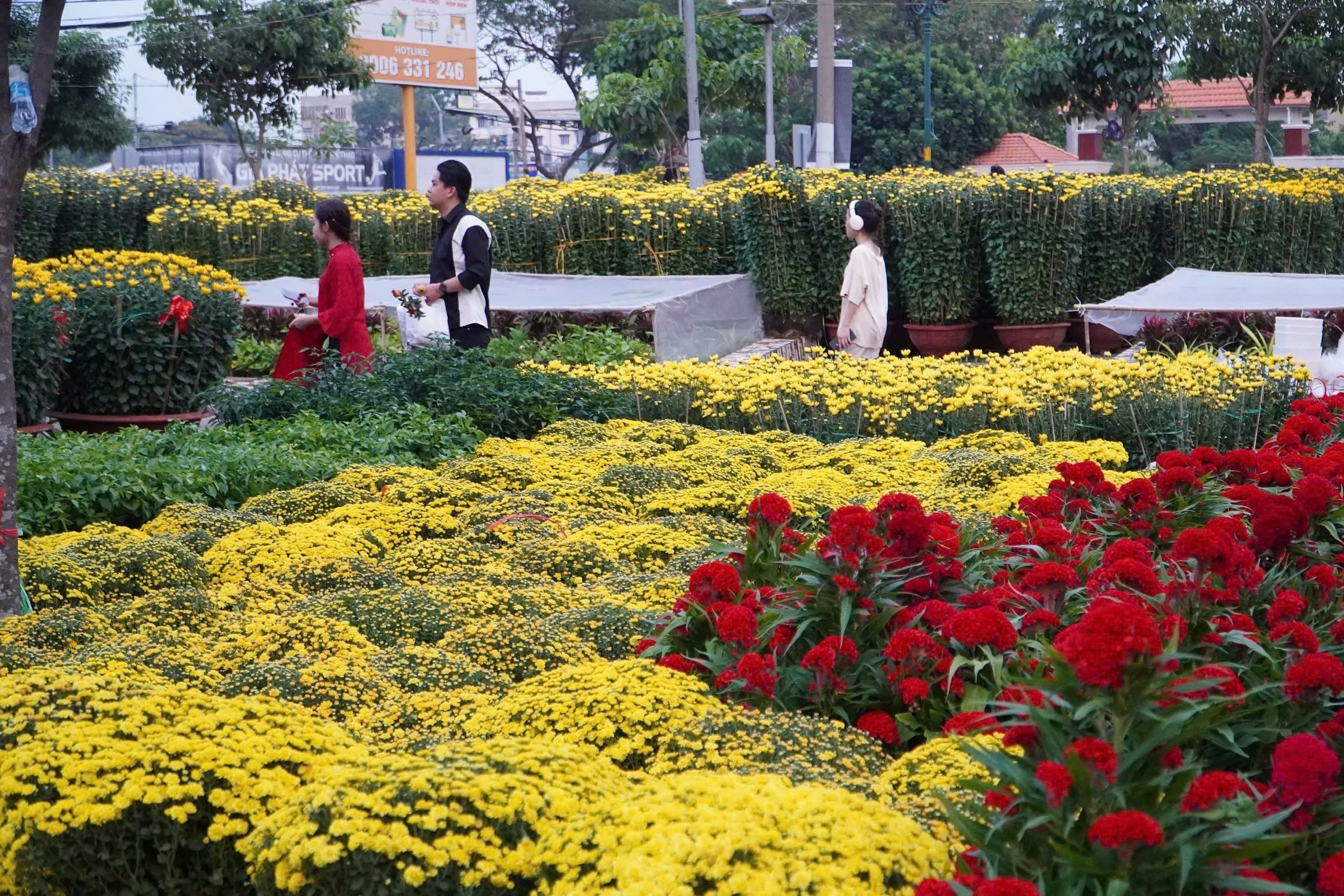 Chi tram trieu nhap hoa Tet, ca gia dinh tu Tien Giang len TP.HCM ban hinh anh