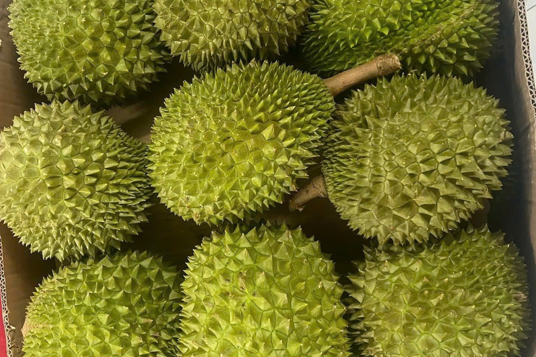 Gia sau rieng re ky luc, chi vai chuc nghin dong/kg hinh anh