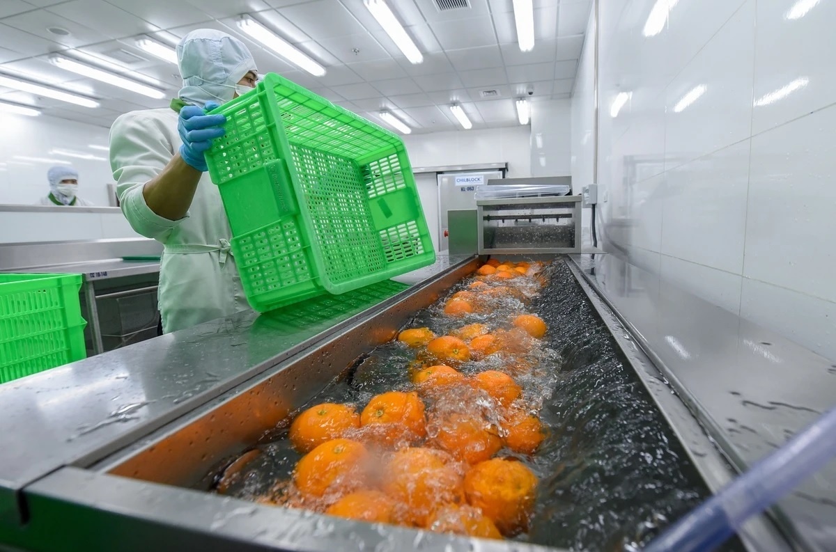 Nong san tuoi nhap khau vao EU co thu thach moi hinh anh