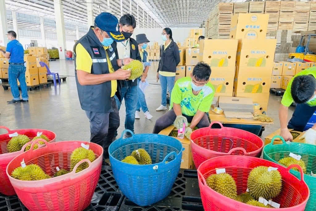 Thai Lan siet kiem dinh sau khi 64 tan sau rieng bi Trung Quoc tra ve hinh anh