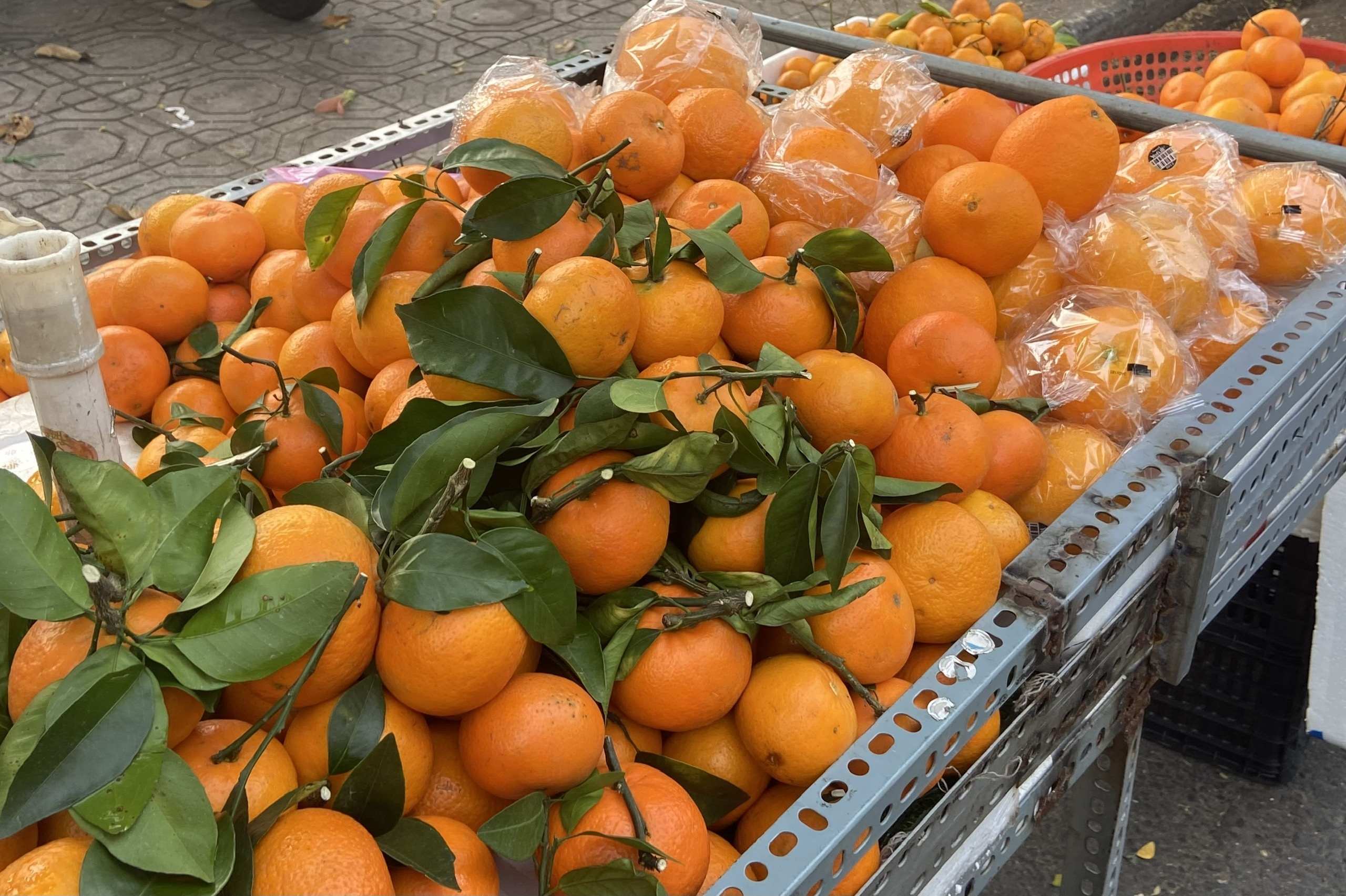 quyt Uc Viet Nam,  cho Thu Duc anh 1