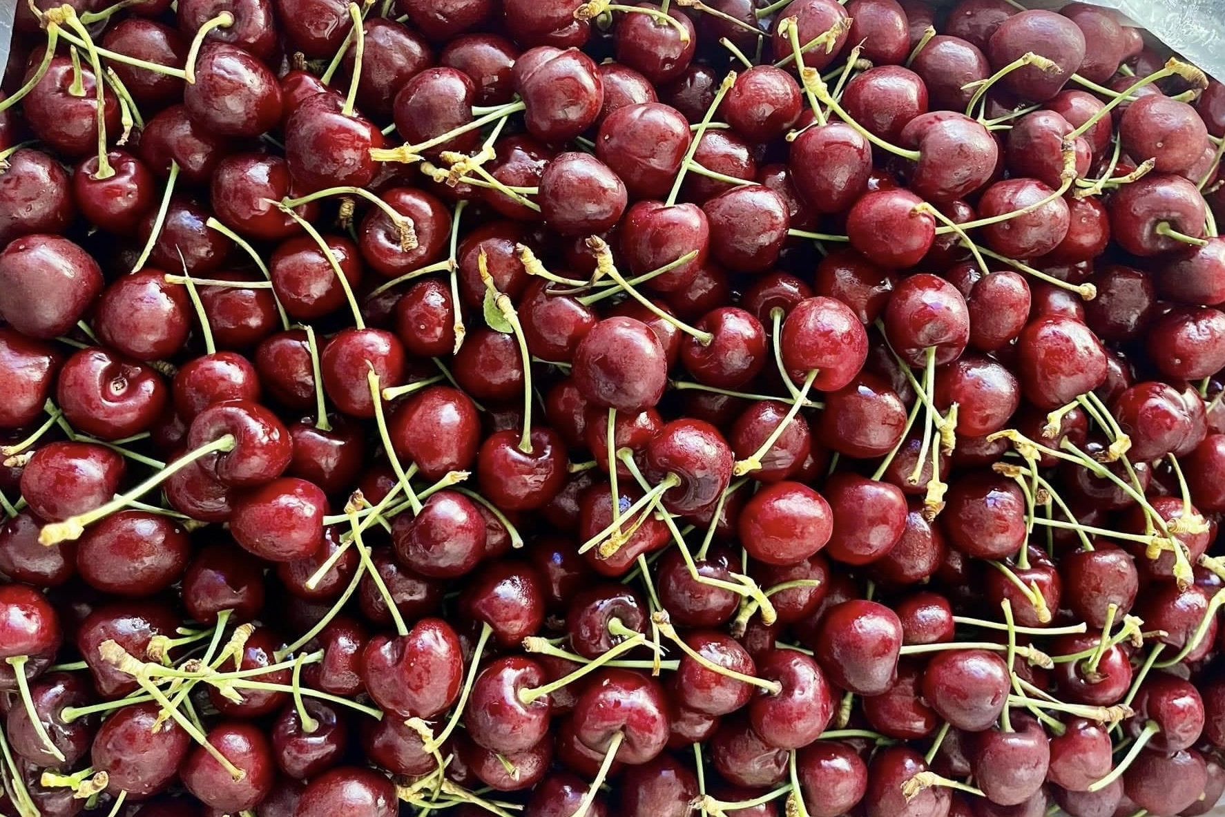 Cherry re chua tung co, chi vai chuc nghin dong/kg hinh anh