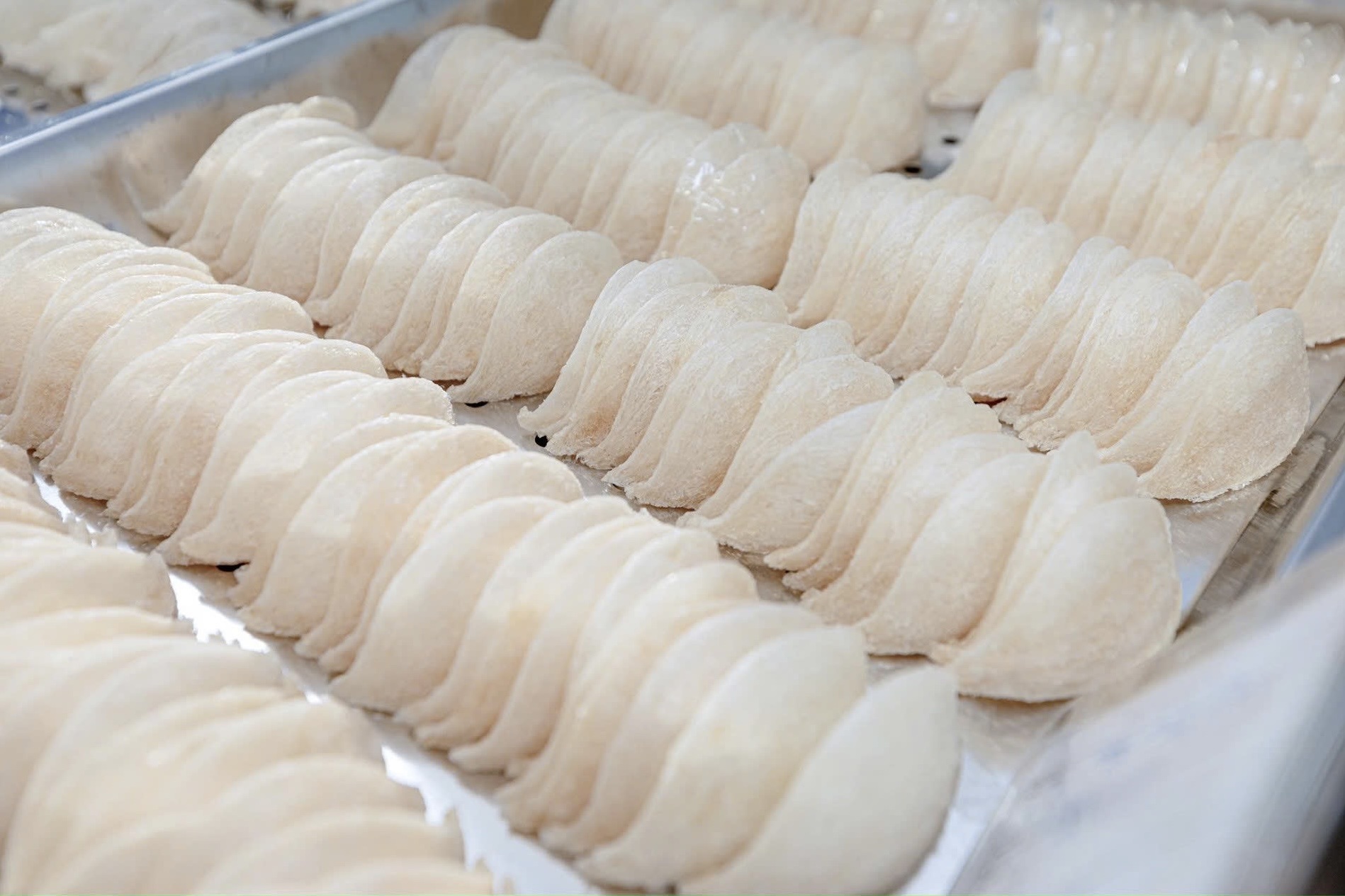 Doanh nghiep Trung Quoc quan tam yen sao Viet Nam hinh anh