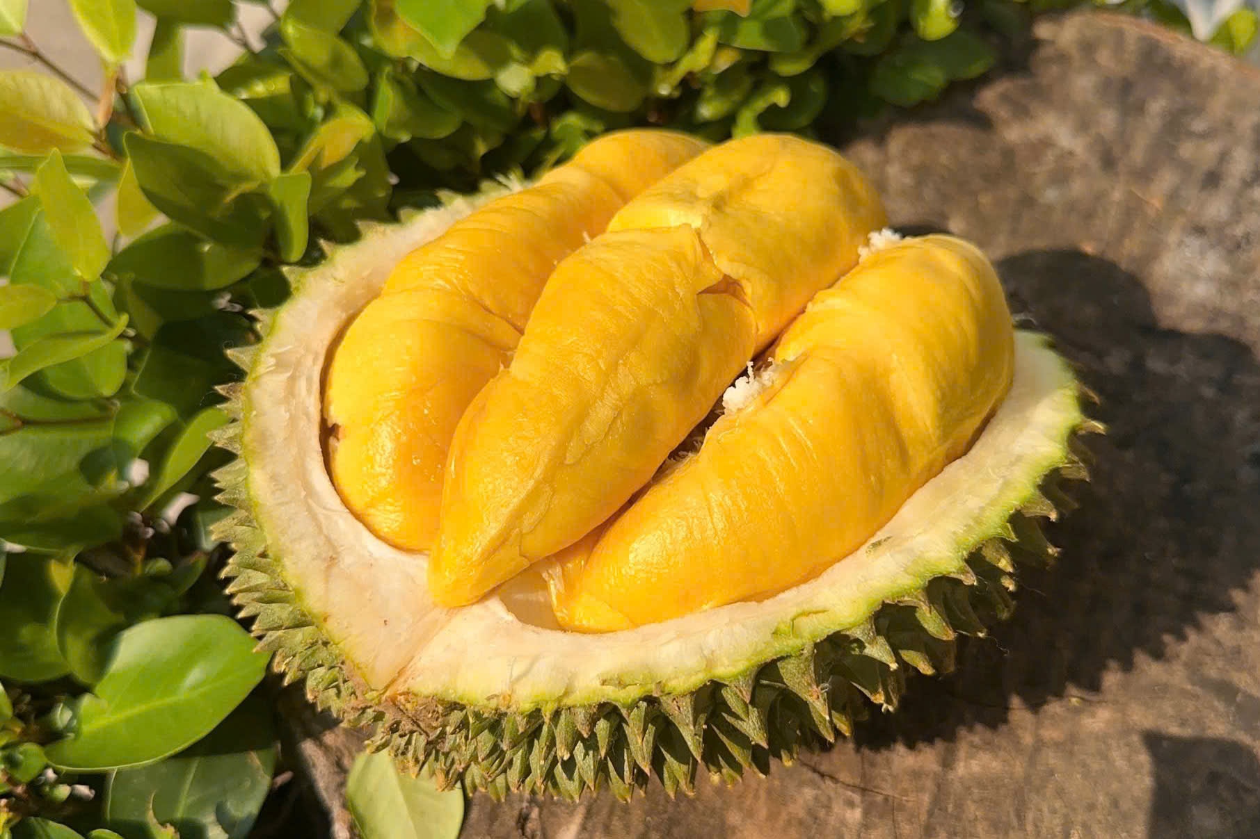 Dai gia dua nhau di ban sau rieng hinh anh