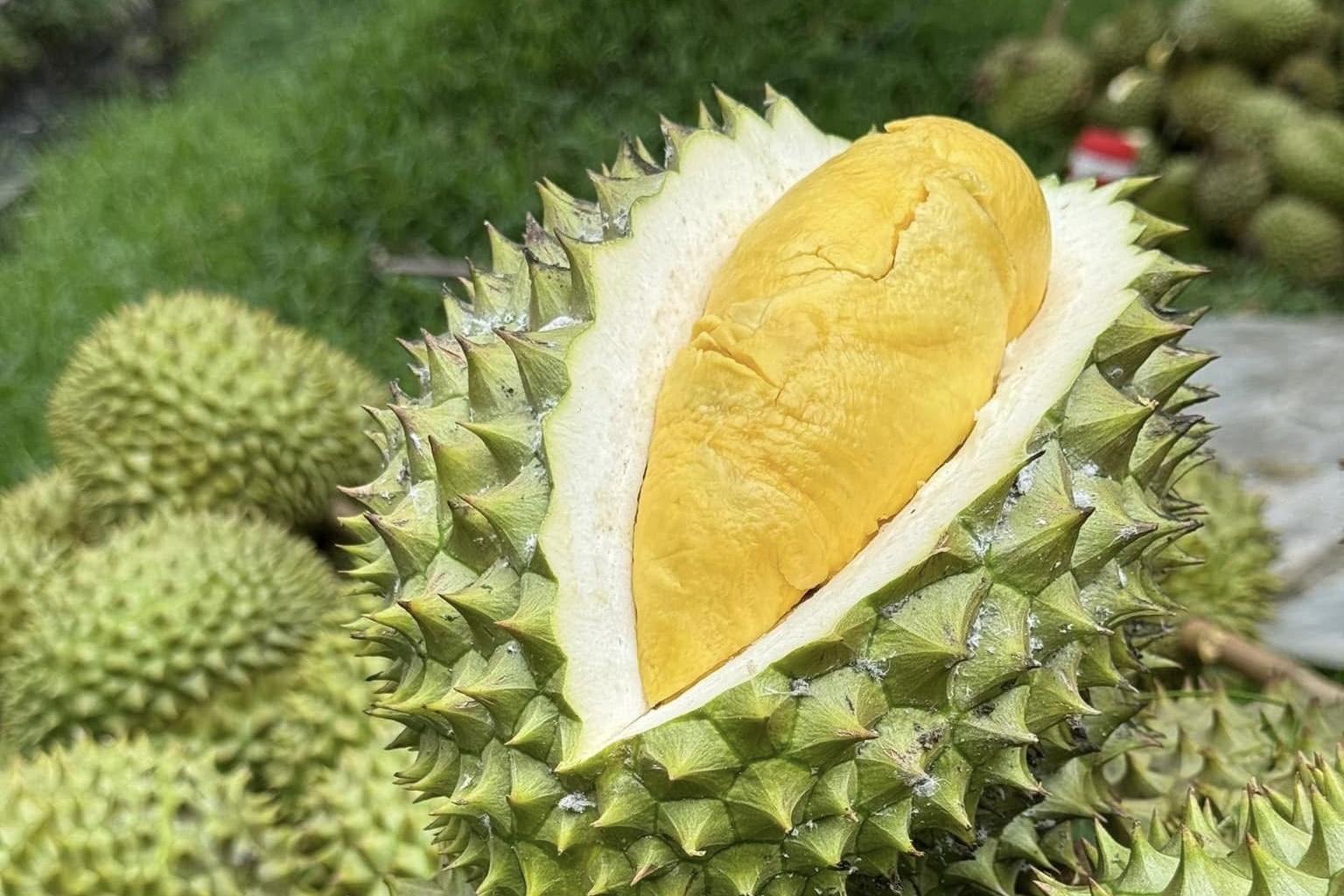 Thu tuong: Uu tien thong quan nhanh nhat sau rieng tai cua khau hinh anh