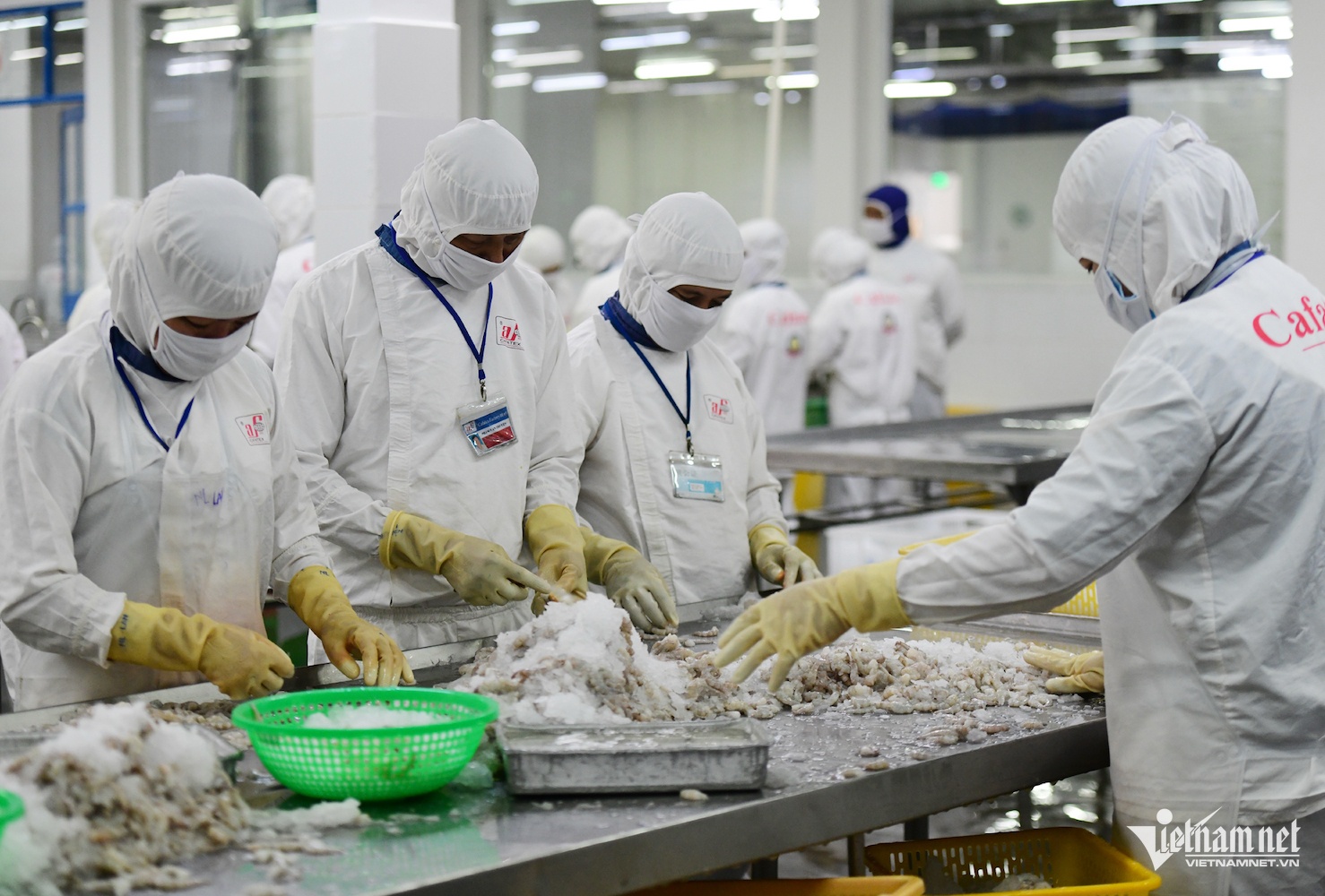 thue doi ung,  thue quan anh 2