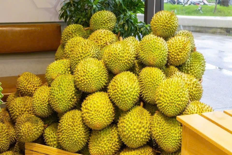 buffet sau rieng,  sau rieng dong lanh anh 1