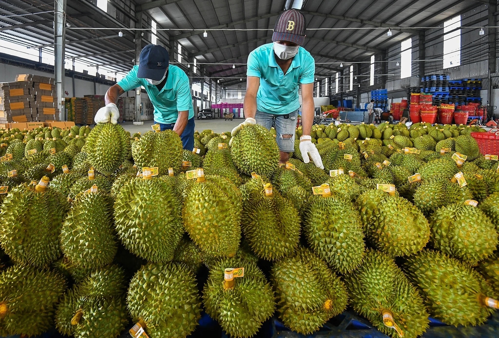 Nong dan than kho ban hang online vi phi san cao, ship dat hinh anh