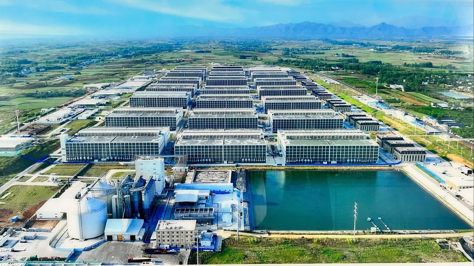 Xin y kien Thu tuong ve mo hinh 'chung cu nuoi heo' hinh anh