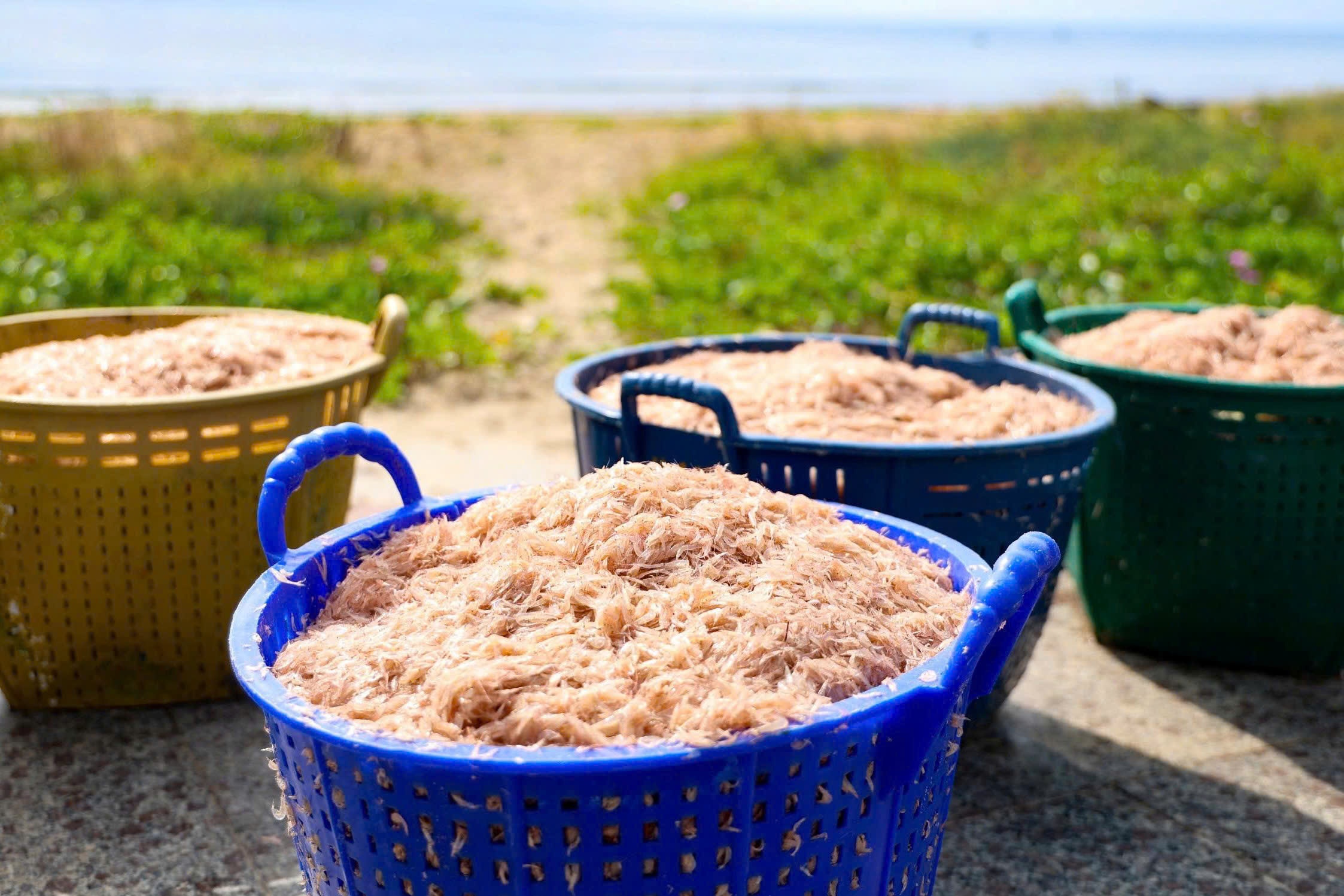 trung dam ruoc bien,  ngu dan Quang Ngai anh 3