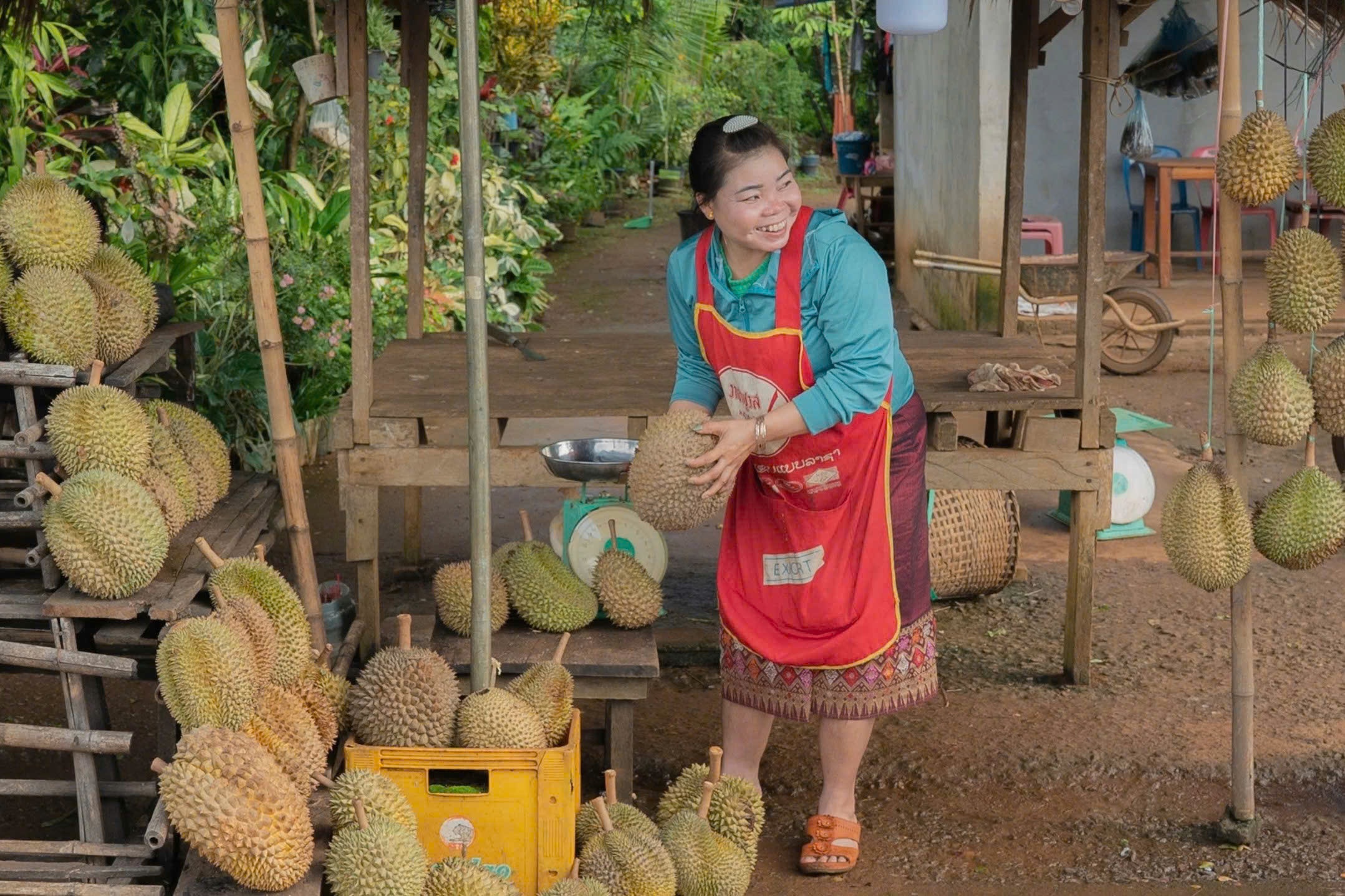'Doi thu' moi cua sau rieng Viet Nam, Thai Lan tai Trung Quoc hinh anh