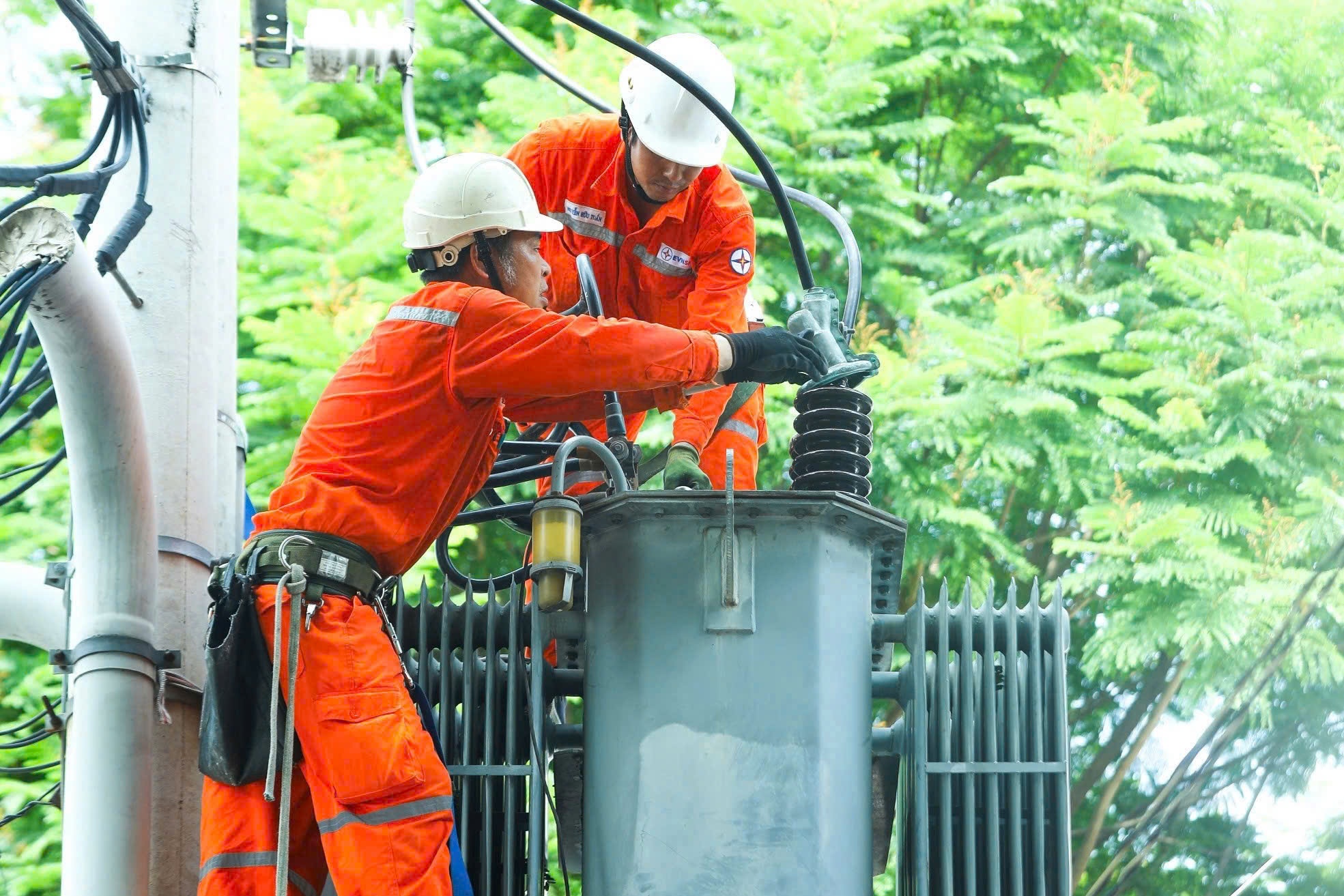 Dien luc mien Nam,  day manh ung dung,  khoa hoc cong nghe,  he thong dien,  san luong dien anh 2