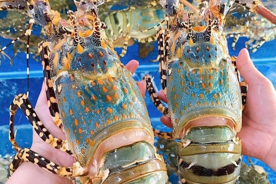 Nguy co thieu tom hum xuat khau sau dot lu lut lich su hinh anh