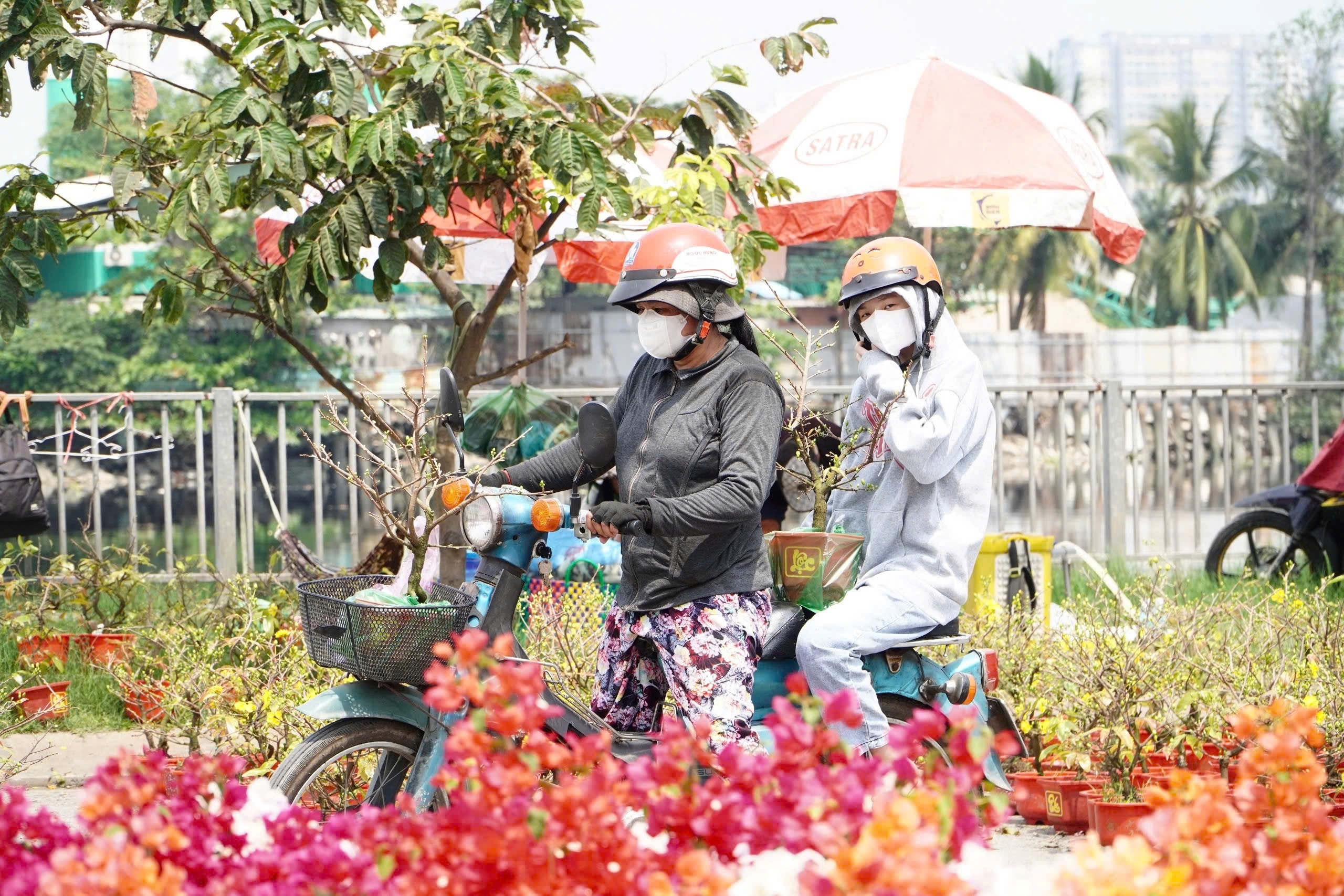 Khach tu Tay Ninh len TP.HCM 'san' mai mini gia re hinh anh