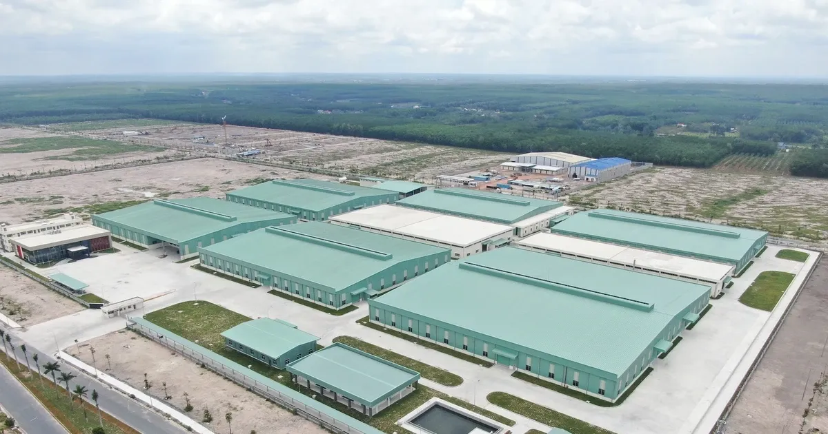 Ly do hang loat doanh nghiep tai Dong Nai bi xu phat hinh anh