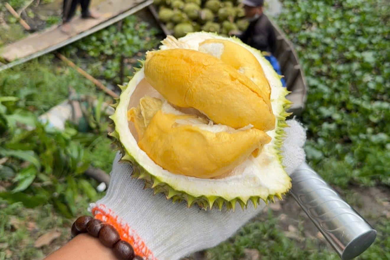 Gia sau rieng rot manh hinh anh