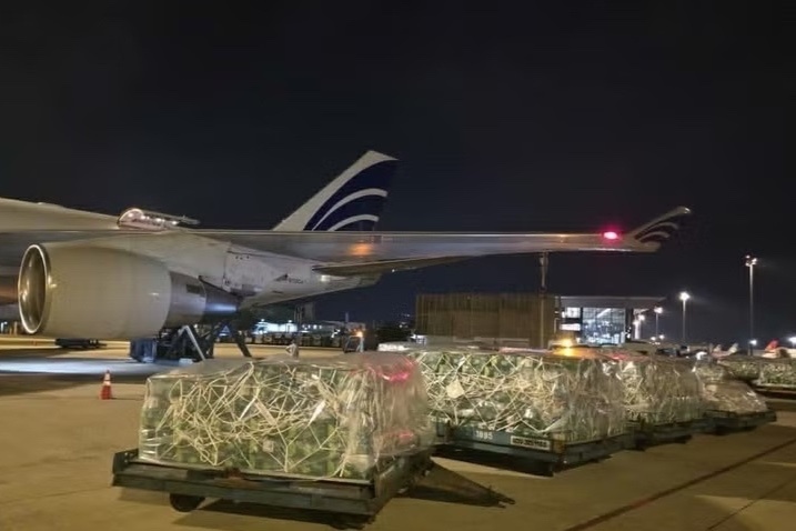 rau qua Viet Nam anh 1