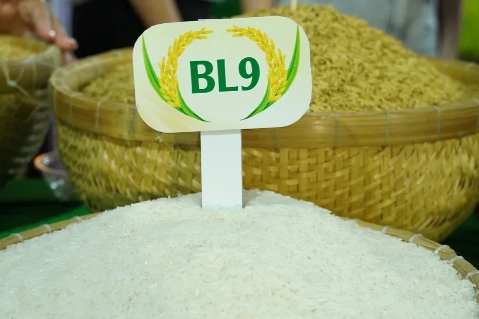 loai gao ngon nhat anh 2