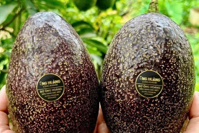 Bo 160.000 dong/kg 'chay hang', khach muon mua phai dat truoc ca thang hinh anh