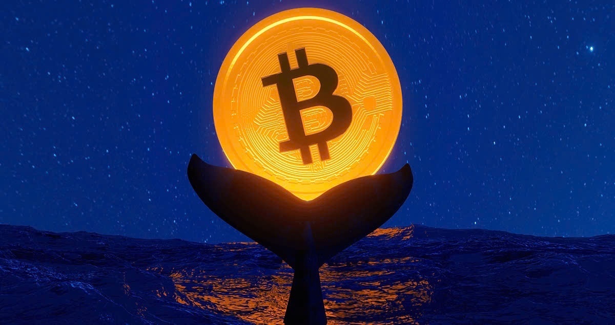 Mot 'ca voi' Bitcoin 40 trieu USD thuc giac hinh anh