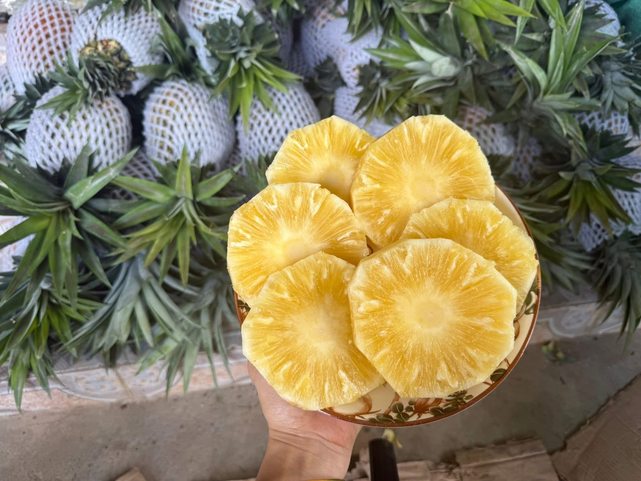 Dứa mật gây 'sốt' trên chợ mạng, giá chỉ vài chục nghìn đồng/kg