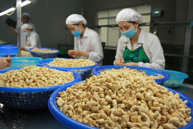 Trung Quốc chi hơn nửa tỷ USD mua một loại hạt của Việt Nam