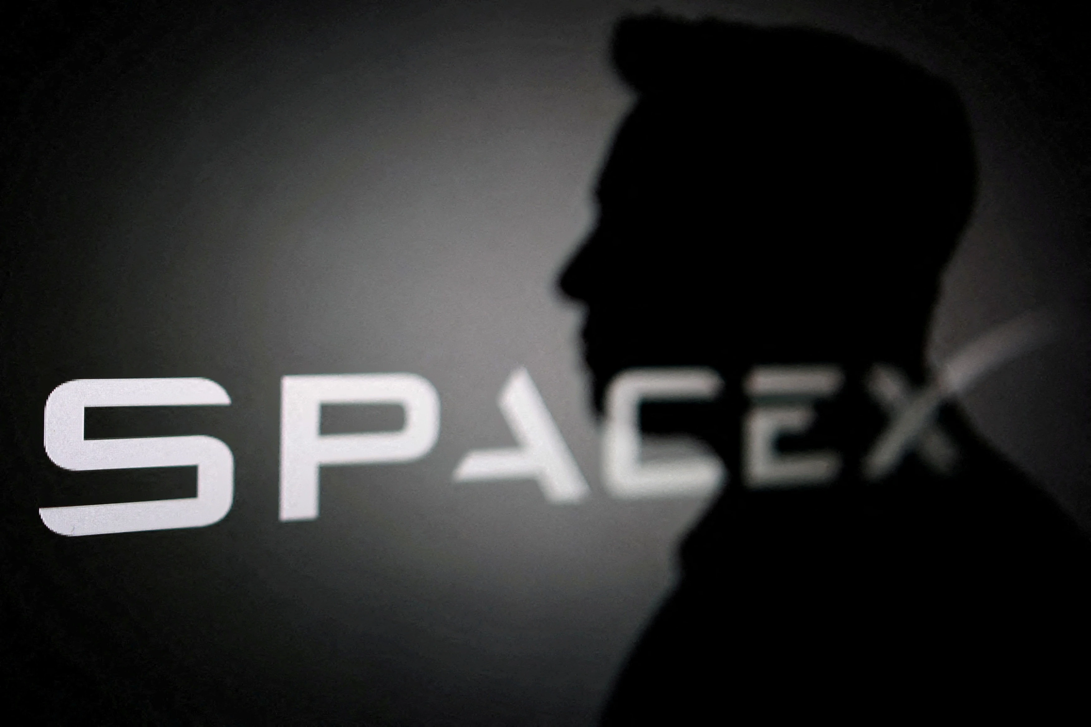 Elon Musk ảnh 1