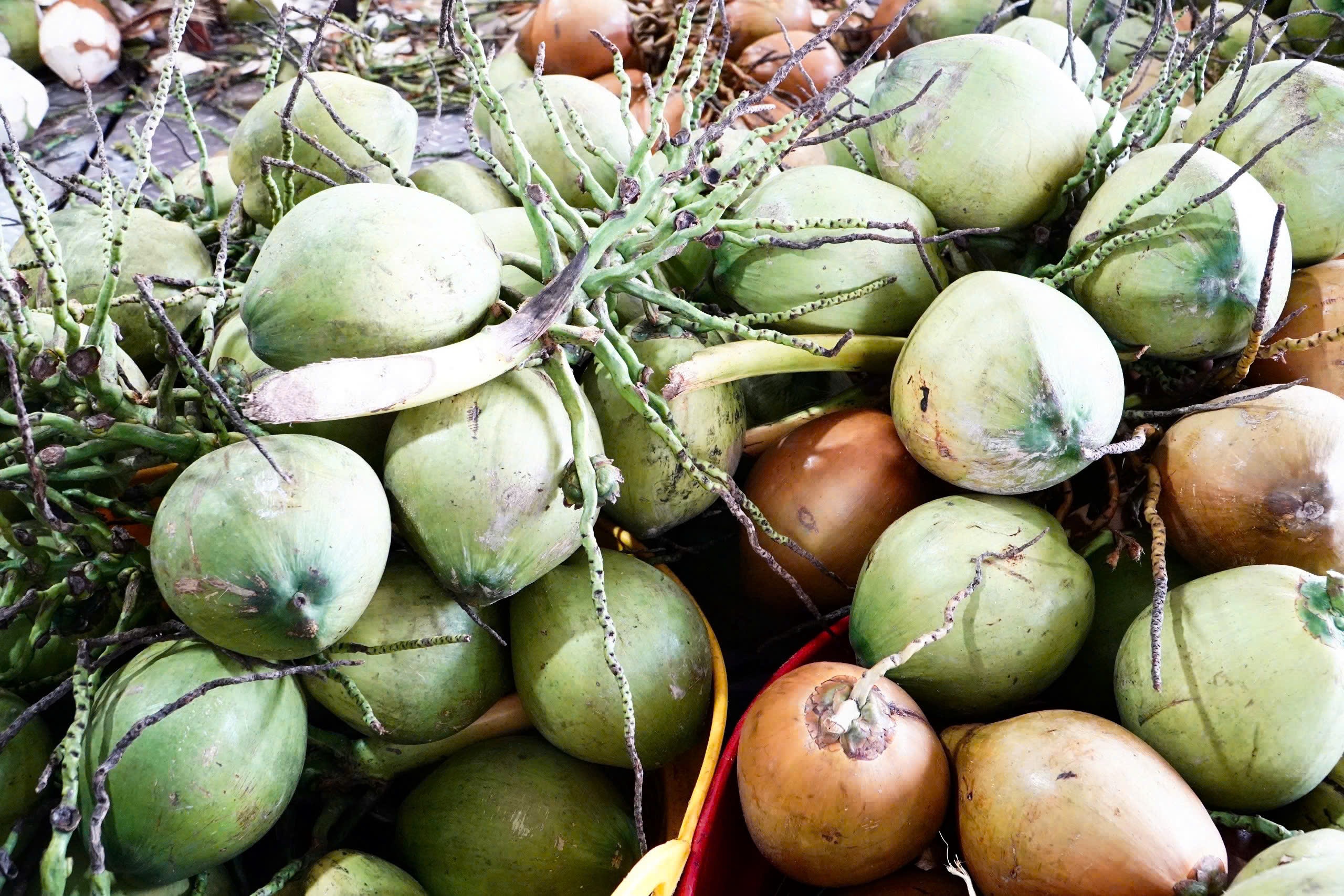 sầu ri&ecirc;ng Việt Nam  ảnh 1