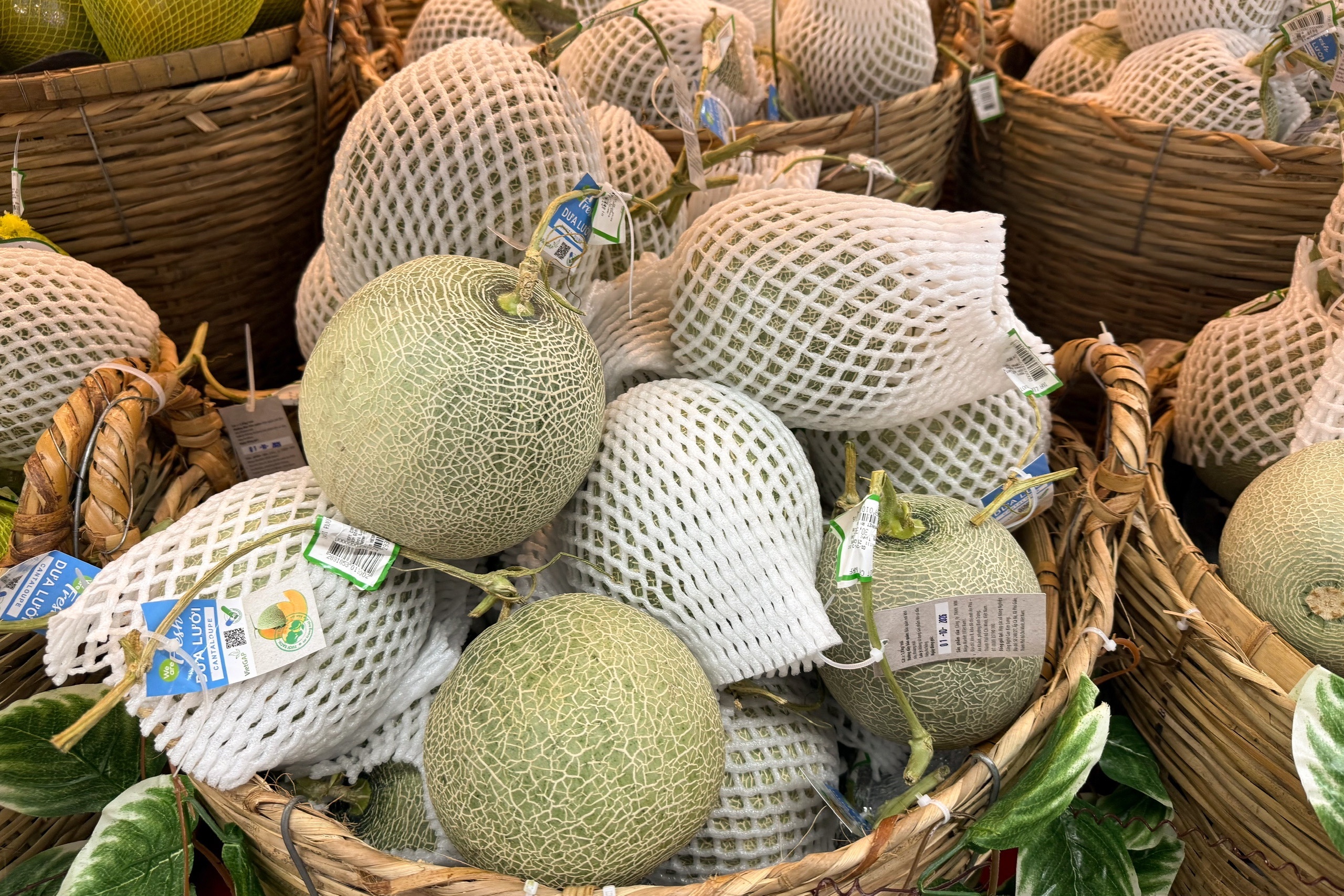 sầu riêng ảnh 3 sầu riêng ảnh 3