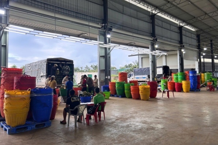 sầu ri&ecirc;ng  ảnh 3