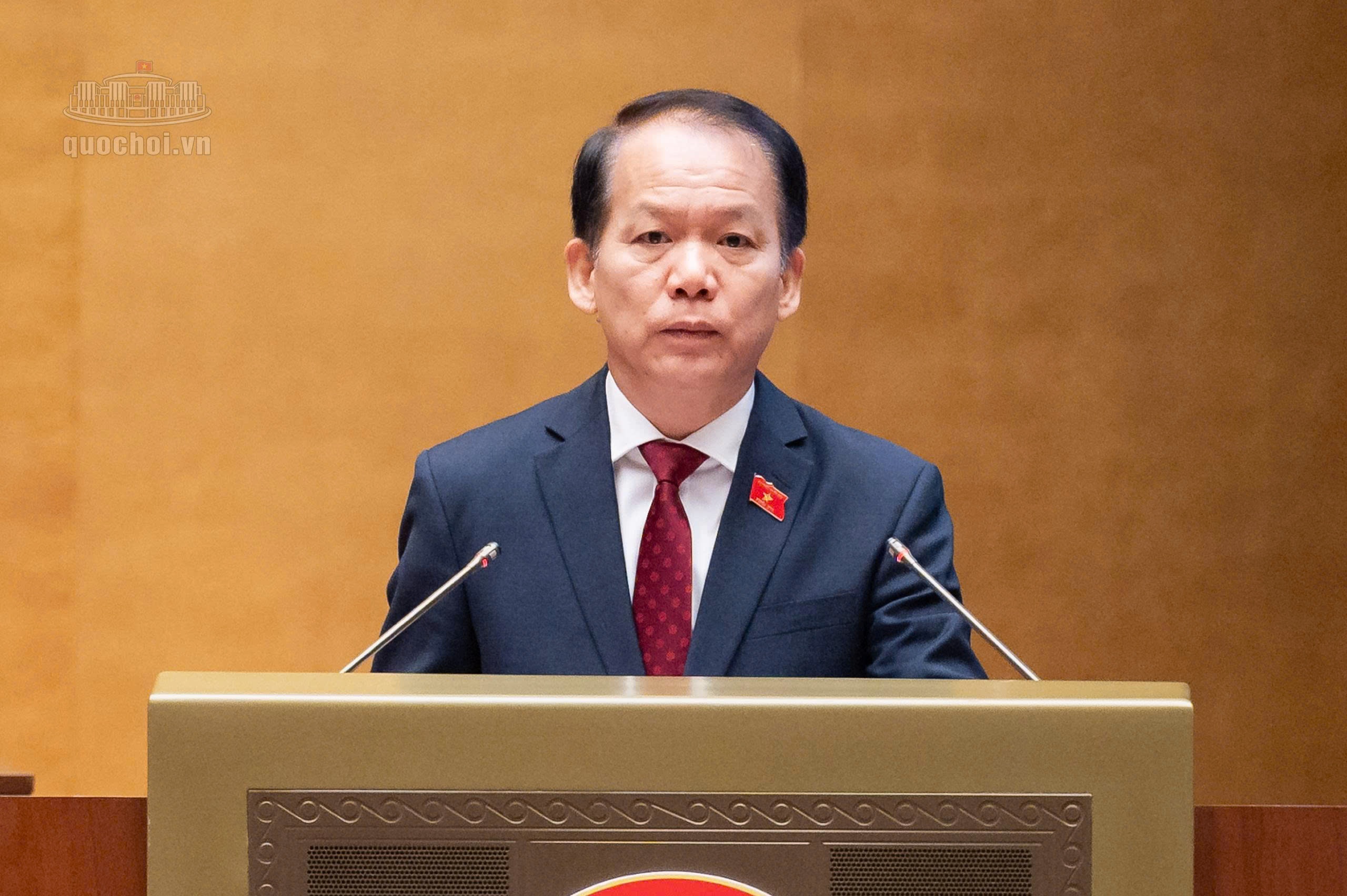 quốc hội ảnh 2