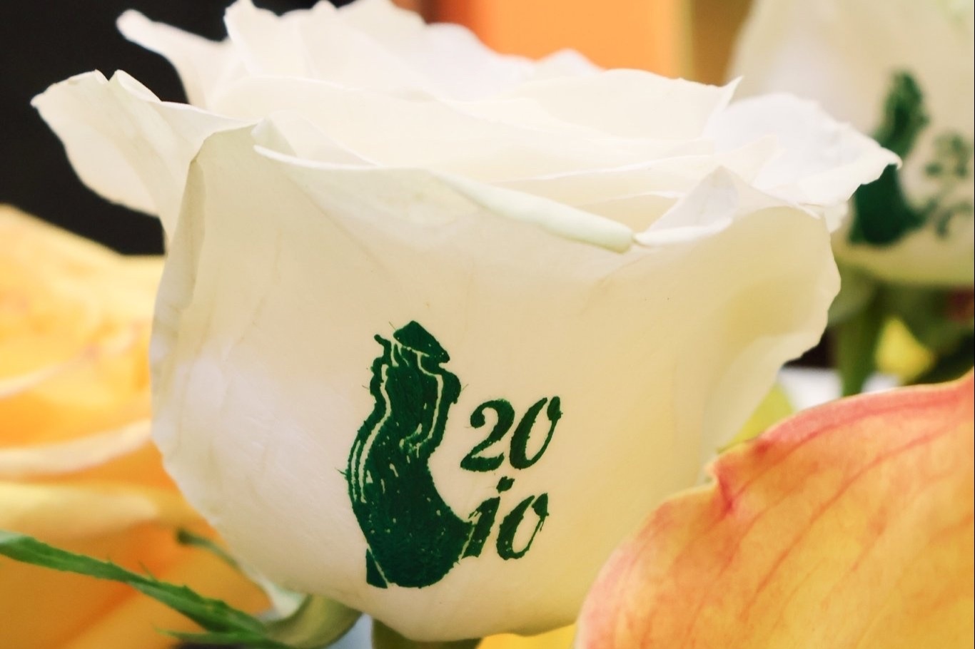 đơn hàng hoa tươi ảnh 3 đơn hàng hoa tươi ảnh 3
