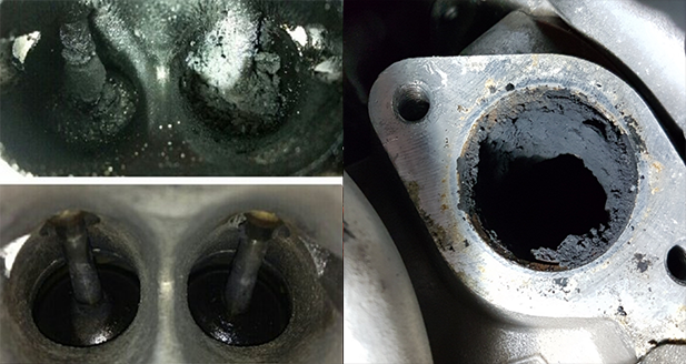 ve sinh muoi than dong co anh 1