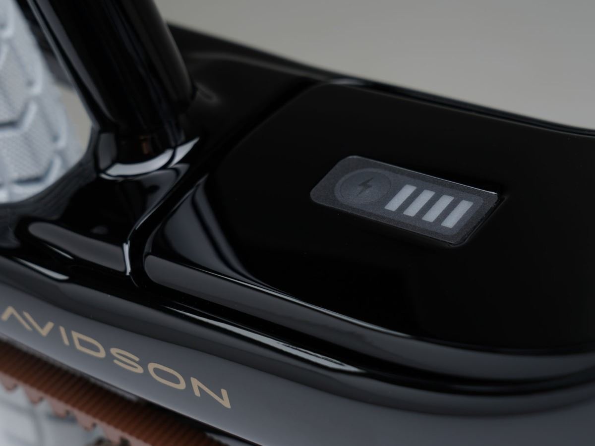 Harley-Davidson ra mắt thương hiệu sản xuất xe đạp điện ảnh 7 Harley-Davidson ra mat thuong hieu san xuat xe dap dien anh 7