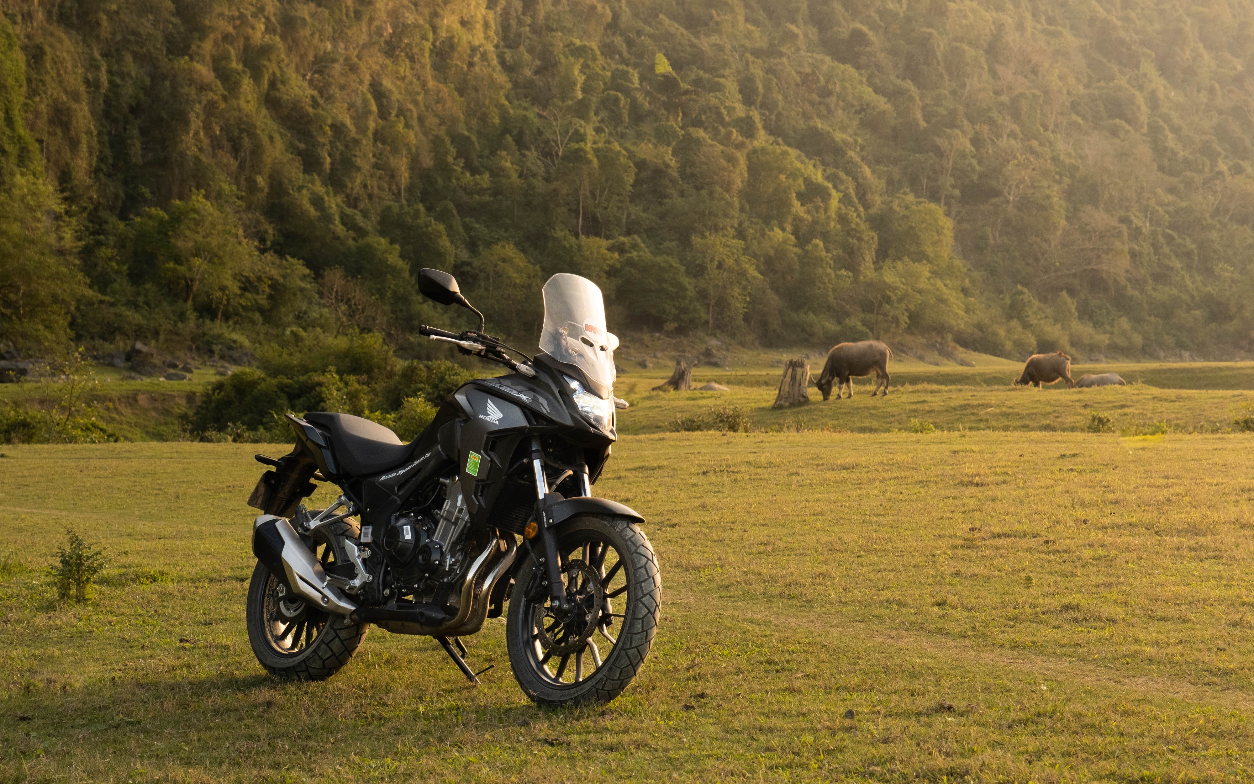 Đánh giá Honda CB500X 2020 - xe phượt đa dụng, giá cao ảnh 1 Danh gia Honda CB500X 2020 - xe phuot da dung, gia cao anh 1