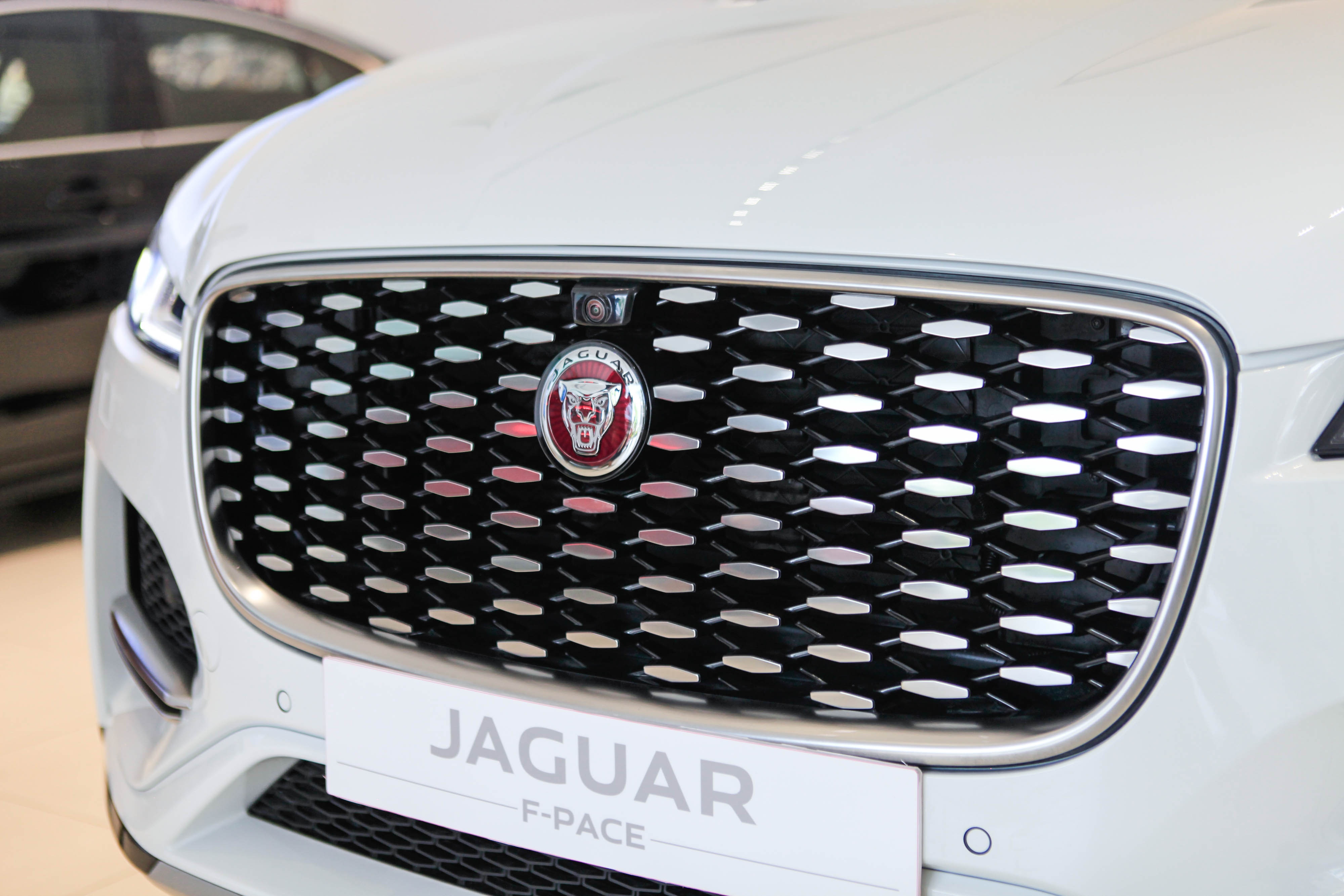 chi tiết Jaguar F-Pace 2021 tại Việt Nam ảnh 5 chi tiet Jaguar F-Pace 2021 tai Viet Nam anh 5