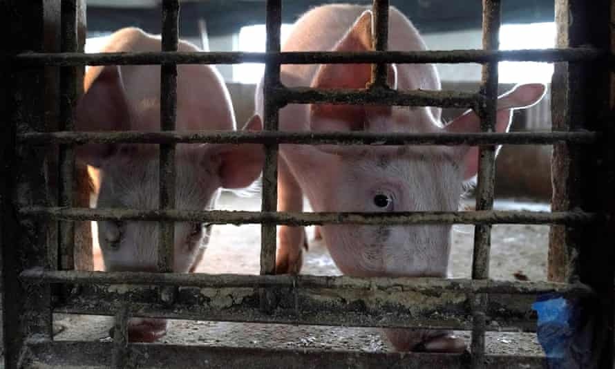 Covid-19 lay sang nguoi do dich ta lon bung phat? anh 1